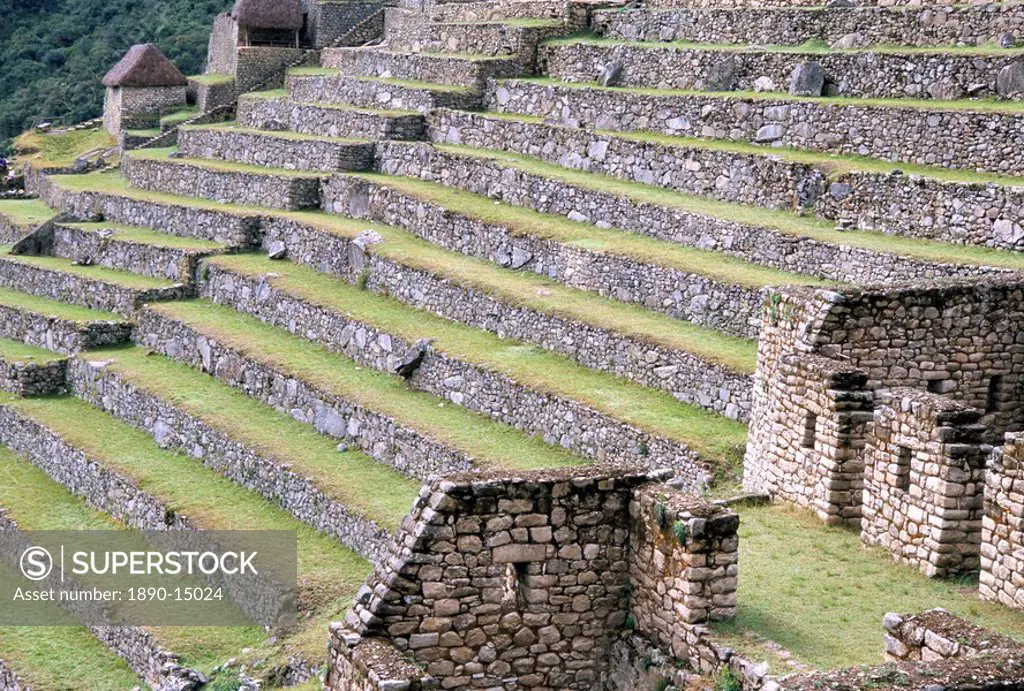 Agricultural terraces in ruins of Inca site, Machu Picchu, UNESCO World Heritage Site, Peru, South America