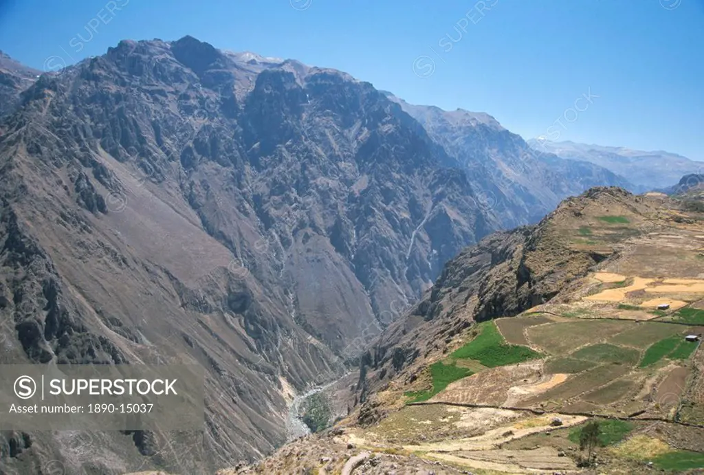 Canyon below Chivay, Colca Canyon, Peru, South America