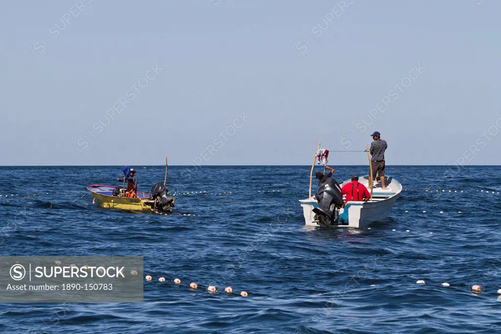 Panga fisherman setting nets, Isla San Marcos, Gulf of California Sea of Cortez, Baja California Sur, Mexico, North America