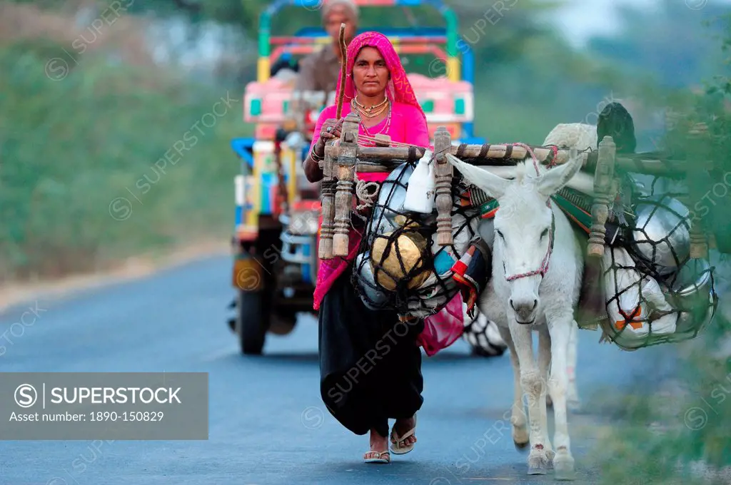 A nomadic woman travelling with her donkey, Gujarat, India, Asia