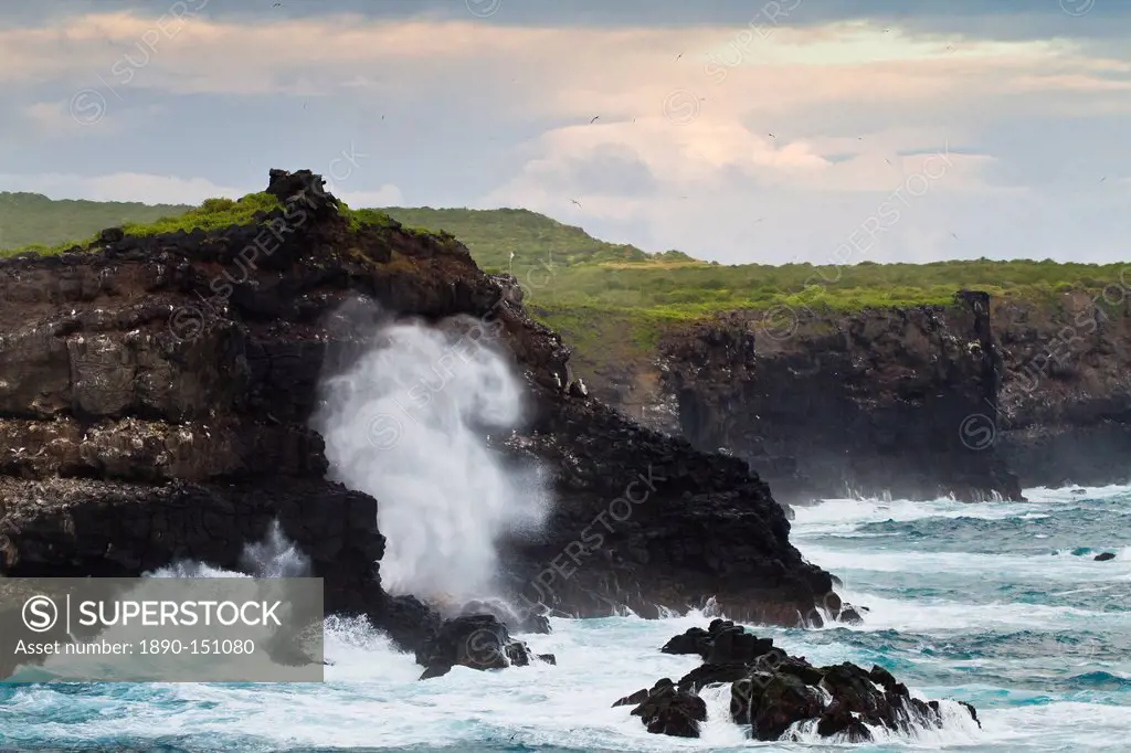 View of Punta Suarez, Espanola Island, Galapagos Islands, UNESCO World Heritage Site, Ecuador, South America