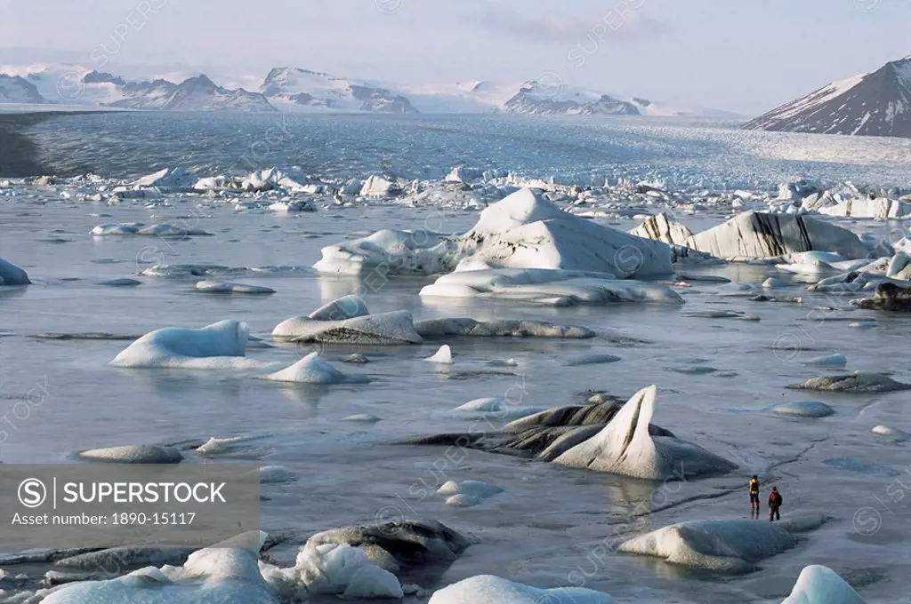 Icebergs frozen into lake ice in winter, ice lake by ring road, Jokulsarlon, Vatnajokull, Iceland, Polar Regions