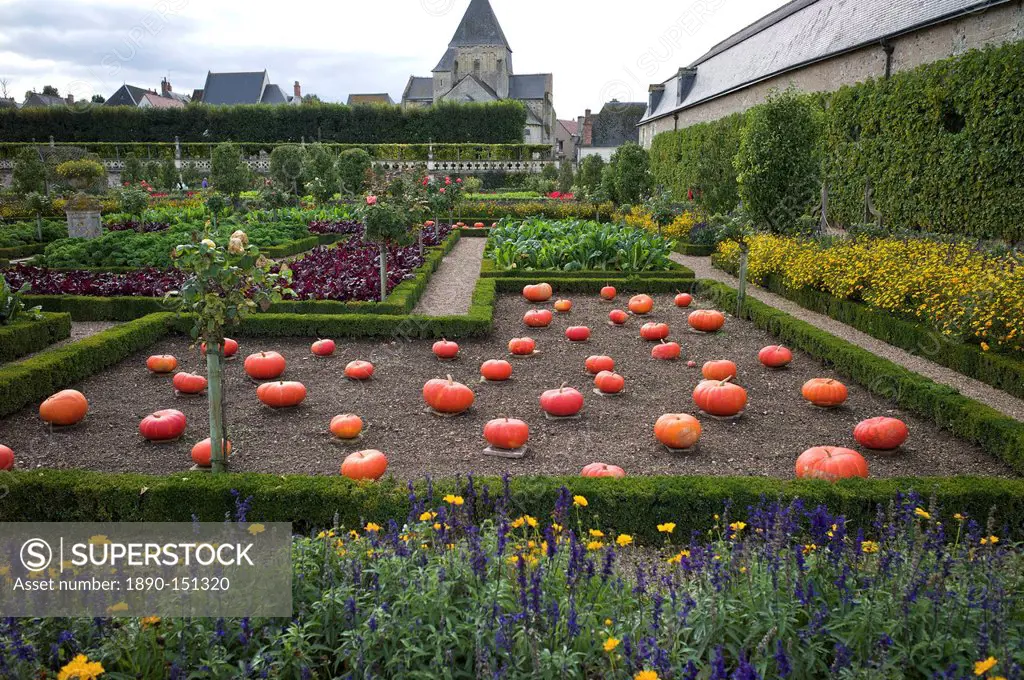 Vegetable garden, Chateau de Villandry, UNESCO World Heritage Site, Indre_et_Loire, Touraine, Loire Valley, France, Europe