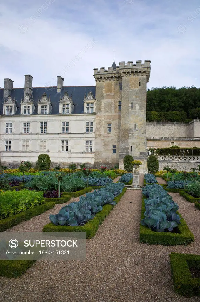 Vegetable garden, Chateau de Villandry, UNESCO World Heritage Site, Indre_et_Loire, Touraine, Loire Valley, France, Europe
