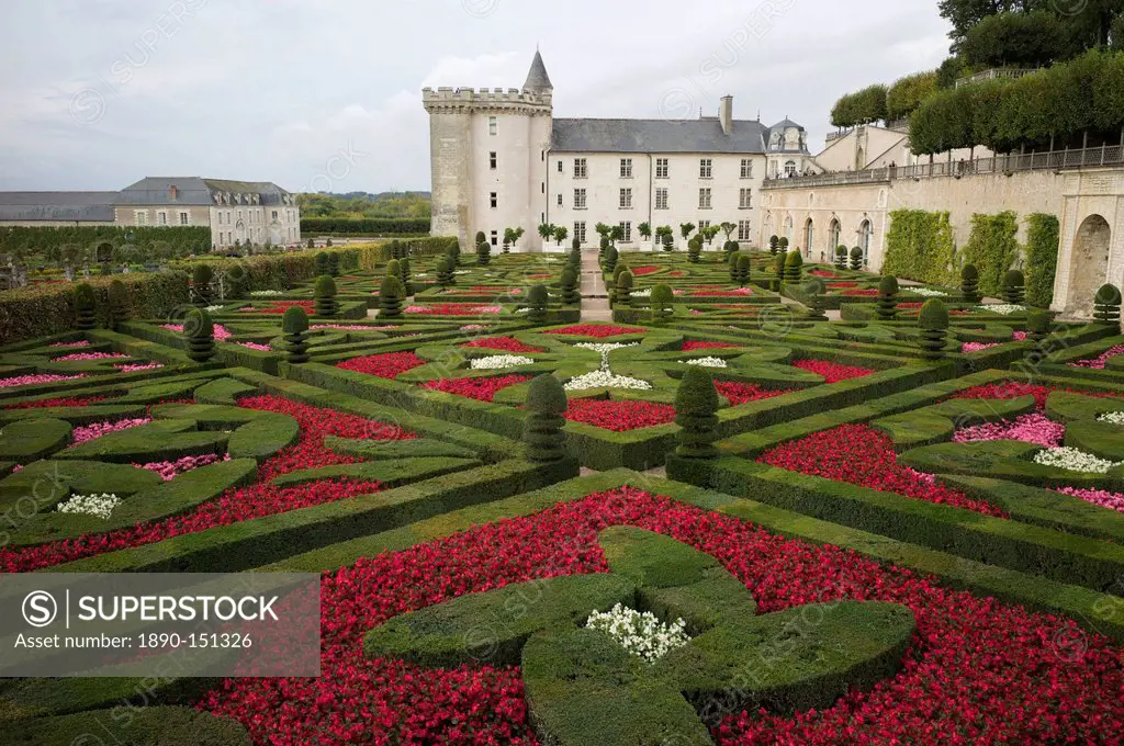 Gardens, Chateau de Villandry, UNESCO World Heritage Site, Indre_et_Loire, Touraine, Loire Valley, France, Europe