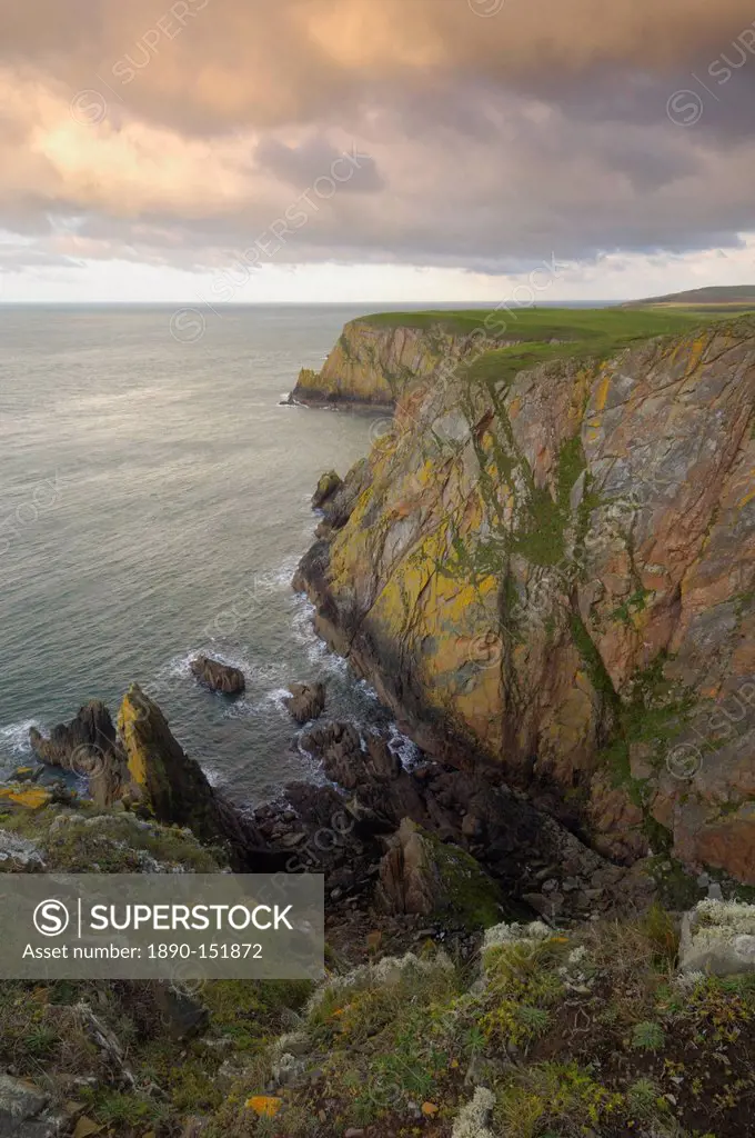 Mull of Galloway, Scotland´s most southerly point, Rhins of Galloway, Dumfries and Galloway, Scotland, United Kingdom, Europe