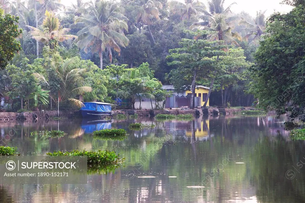 Boat moored on the still Kerala Backwaters, Kerala, India, Asia