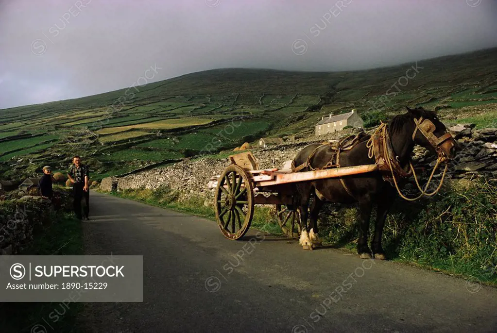 The Dingle Peninsula, County Kerry, Munster, Eire Republic of Ireland, Europe