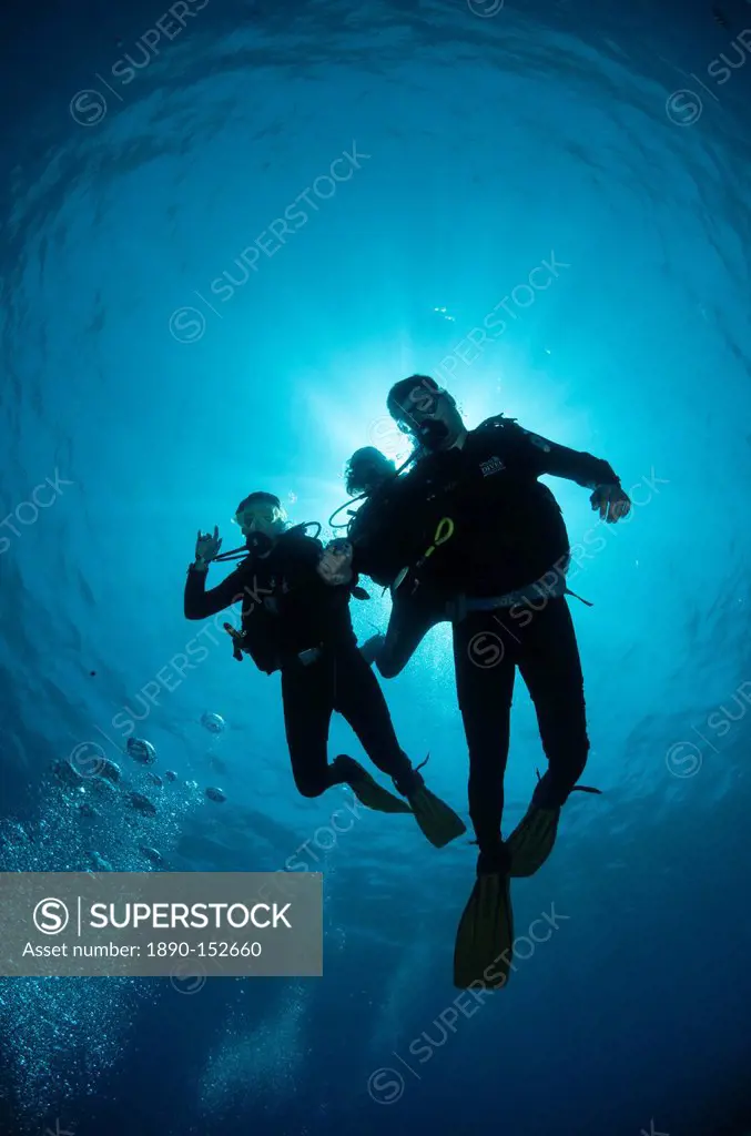 Low angle view of three scuba divers, backlit, Sharm El Sheikh, South Sinai, Red Sea, Egypt, North Africa, Africa