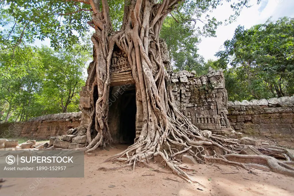 Ta Som, giant roots overgrowing on the gopura entrance gate, Angkor, UNESCO World Heritage Site, Siem Reap, Cambodia, Indochina, Southeast Asia, Asia