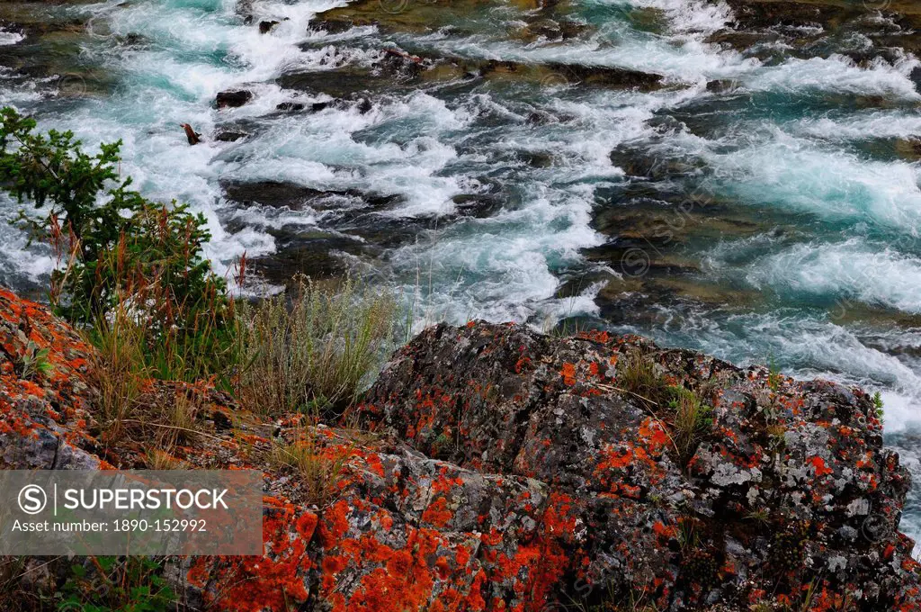 Bow River and lichens along the river, Banff, Canada, North America