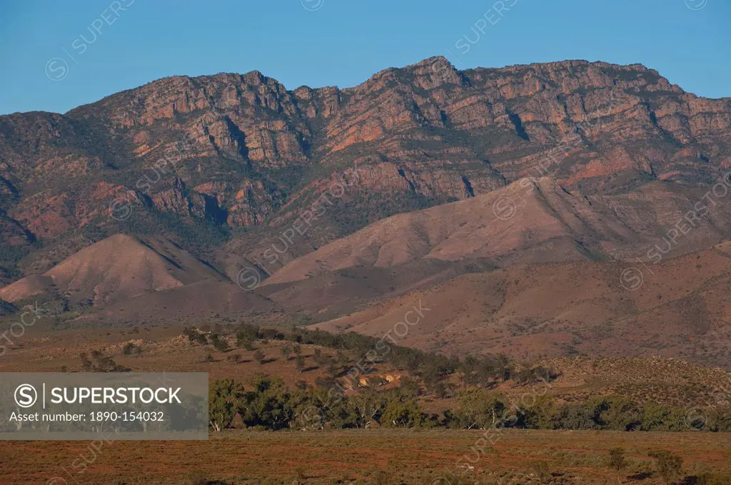 Flinders Ranges National Park, South Australia, Australia, Pacific