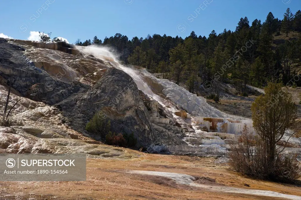Devil´s Thumb and Palette Spring, Mammoth Hot Springs, Yellowstone National Park, UNESCO World Heritage Site, Wyoming, United States of America, North...