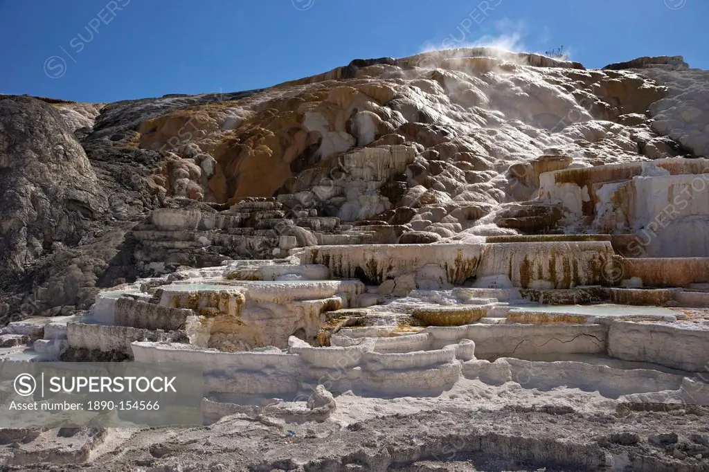 Palette Spring, Mammoth Hot Springs, Yellowstone National Park, UNESCO World Heritage Site, Wyoming, United States of America, North America