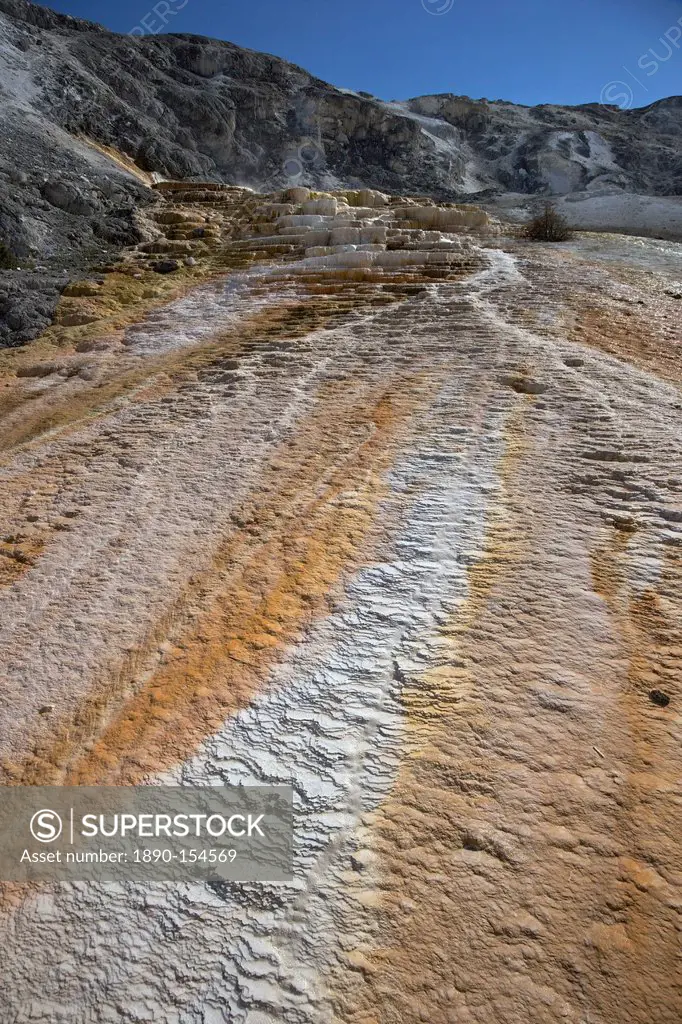 Mound Terrace, Mammoth Hot Springs, Yellowstone National Park, UNESCO World Heritage Site, Wyoming, United States of America, North America
