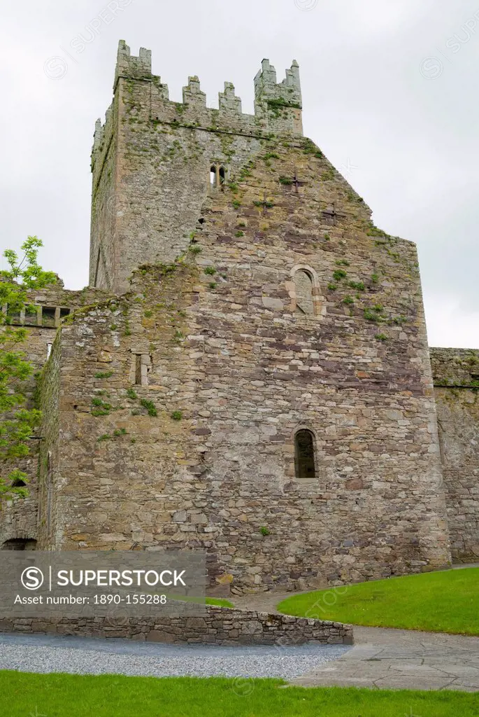 Jerpoint Abbey, County Kilkenny, Leinster, Republic of Ireland Eire, Europe