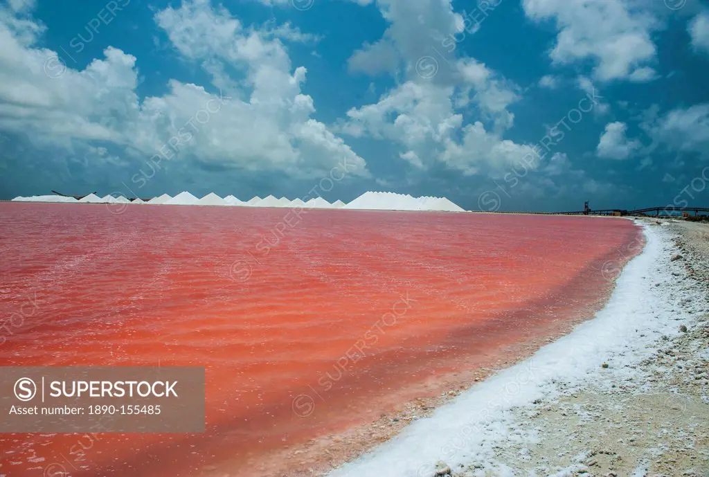 Saline a salt mine in Bonaire, ABC Islands, Netherlands Antilles, Caribbean, Central America