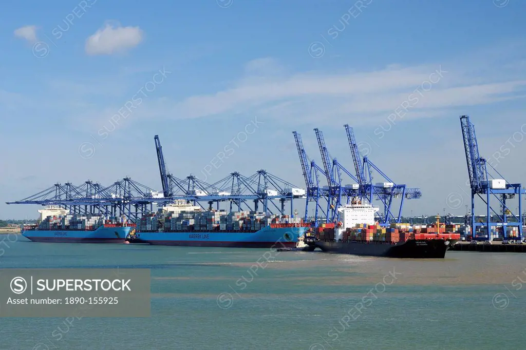 Container ships and loading derricks at Felixstowe Docks, Suffolk, England, United Kingdom, Europe