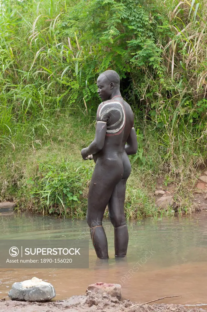 Before the Donga stick fight, the Surma warriors apply a body paint made of clay and mineral on their bodies, Surma tribe, Tulgit, Omo River Valley, E...