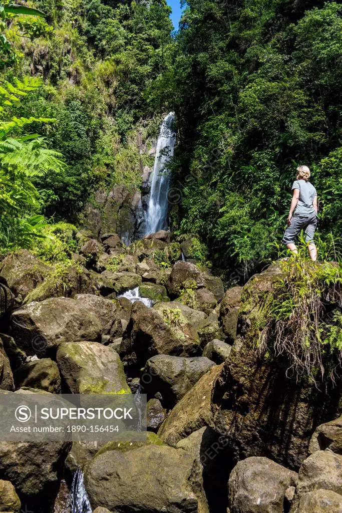 Tourist looking at the Trafalgar Falls, Morne Trois Pitons National Park, UNESCO World Heritage Site, Dominica, West Indies, Caribbean, Central Americ...