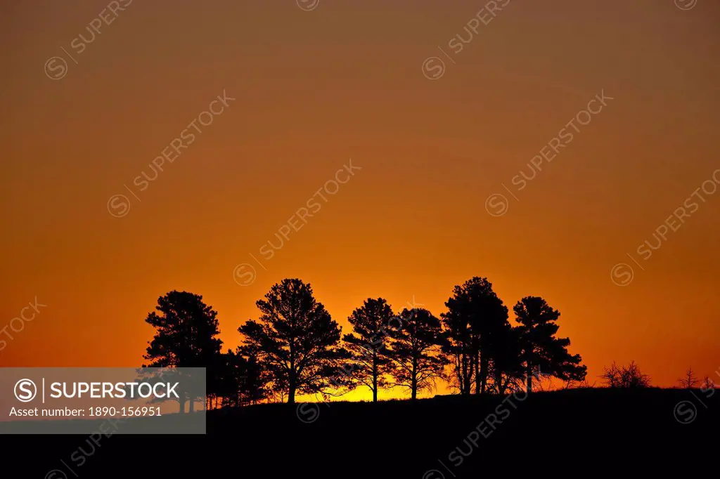 Orange sky at dawn, Custer State Park, South Dakota, United States of America, North America