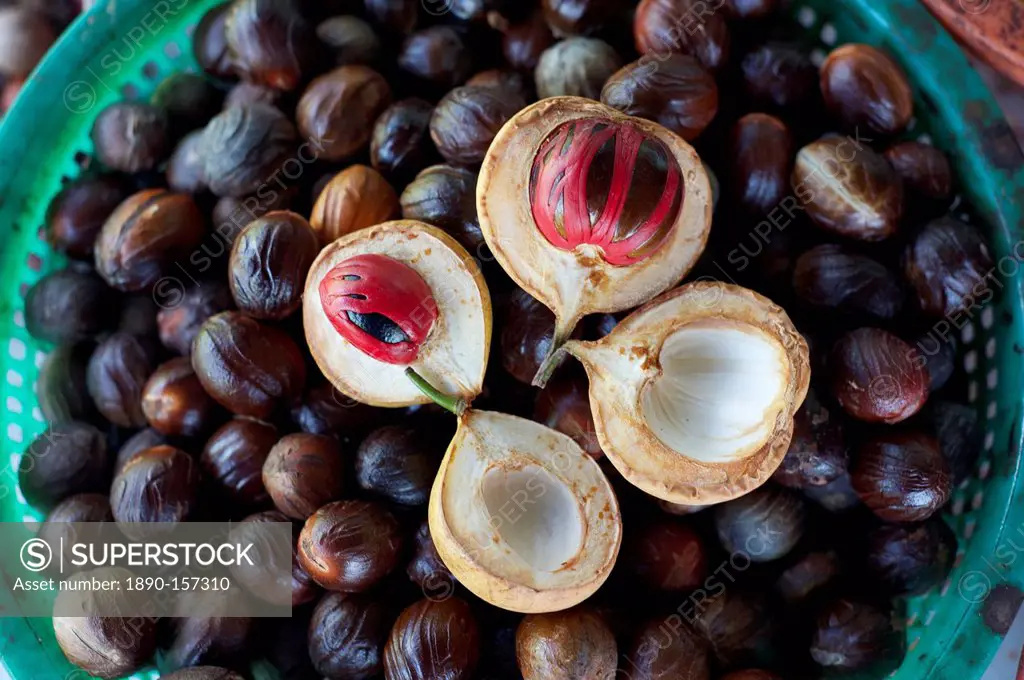 Male and female nutmegs, rind split open to reveal mace wrapped round nutmegs inside, Penang, Malaysia, Southeast Asia, Asia