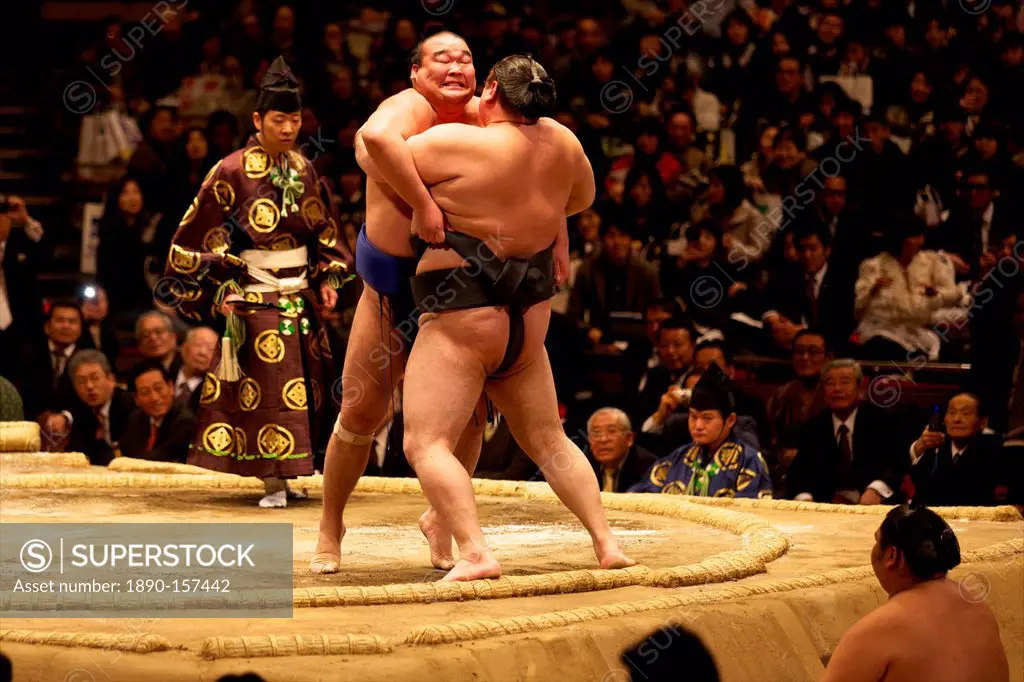 Two sumo wrestlers pushing hard to put their opponent out of the circle, sumo wrestling competition, Tokyo, Japan, Asia