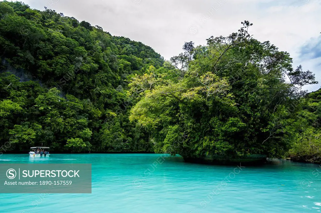 Turquoise waters in the Rock islands, Palau, Central Pacific, Pacific