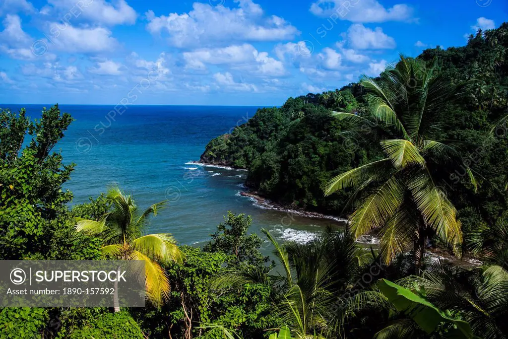 Pagua Bay in Dominica, West Indies, Caribbean, Central America