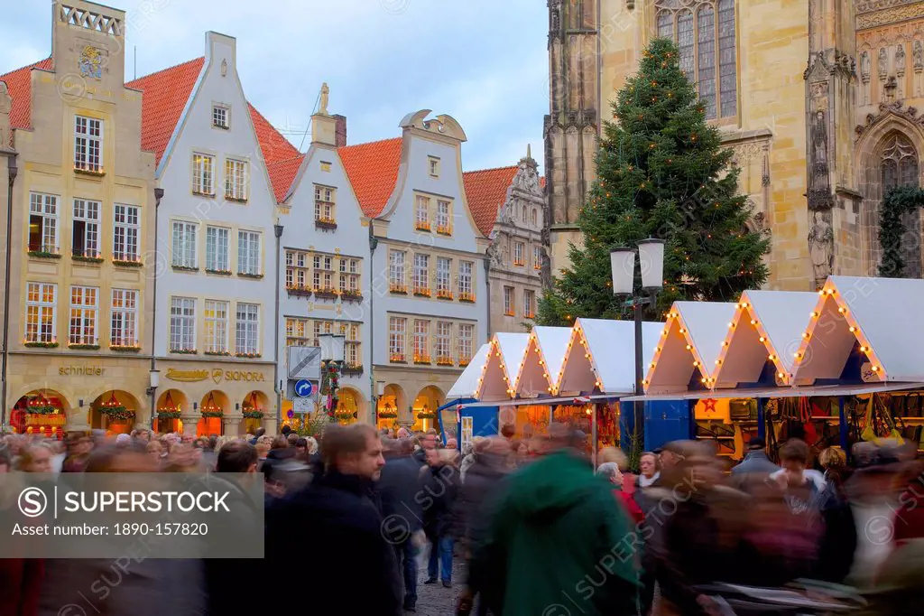 Christmas Market on Prinzipalmarkt, Munster, North Rhine-Westphalia, Germany, Europe