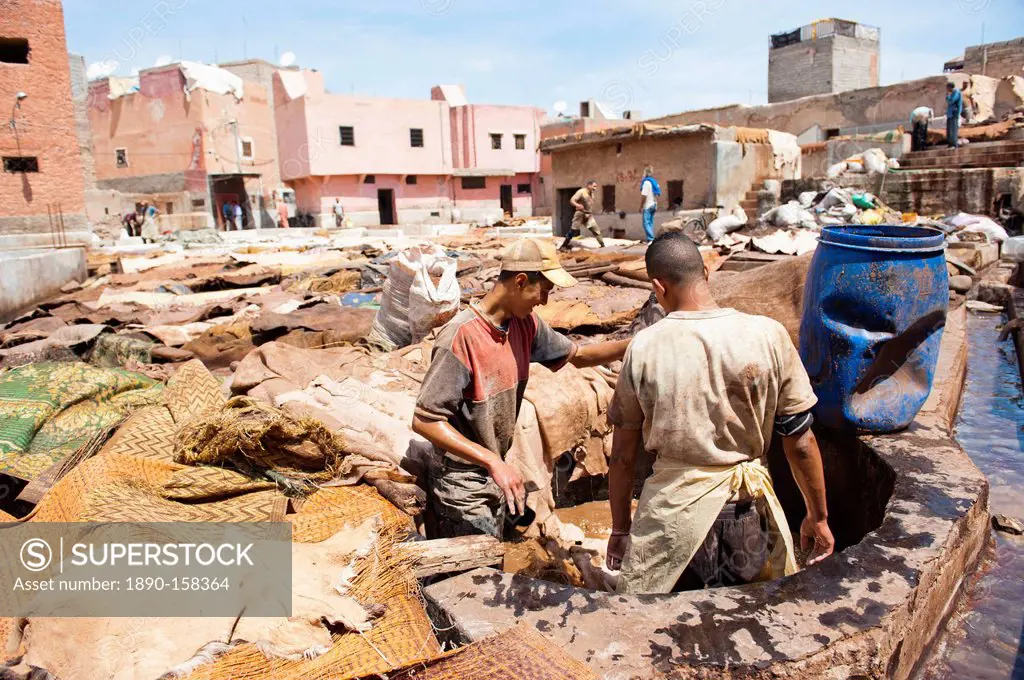 Men working at a tannery in Old Medina, Marrakech, Morocco, North Africa, Africa