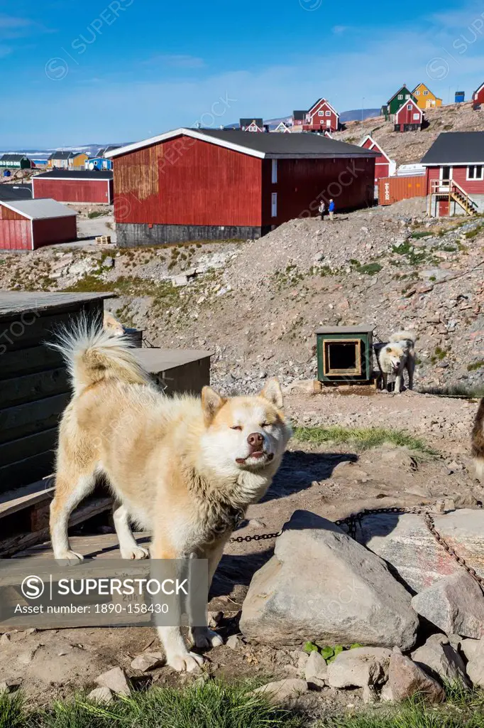 Inuit village and sled dog house, Ittoqqortoormiit, Scoresbysund, Northeast Greenland, Polar Regions