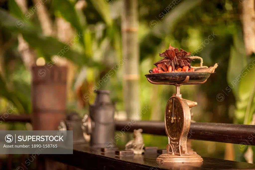 Weighing scales and chillies, Golden Triangle, Thailand, Southeast Asia, Asia
