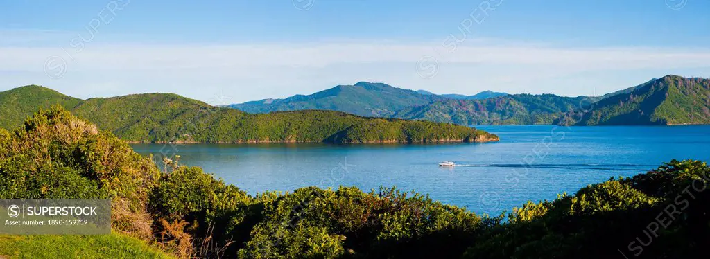 Speed boat in Queen Charlotte Sound, Picton, Marlborough Region, South Island, New Zealand, Pacific