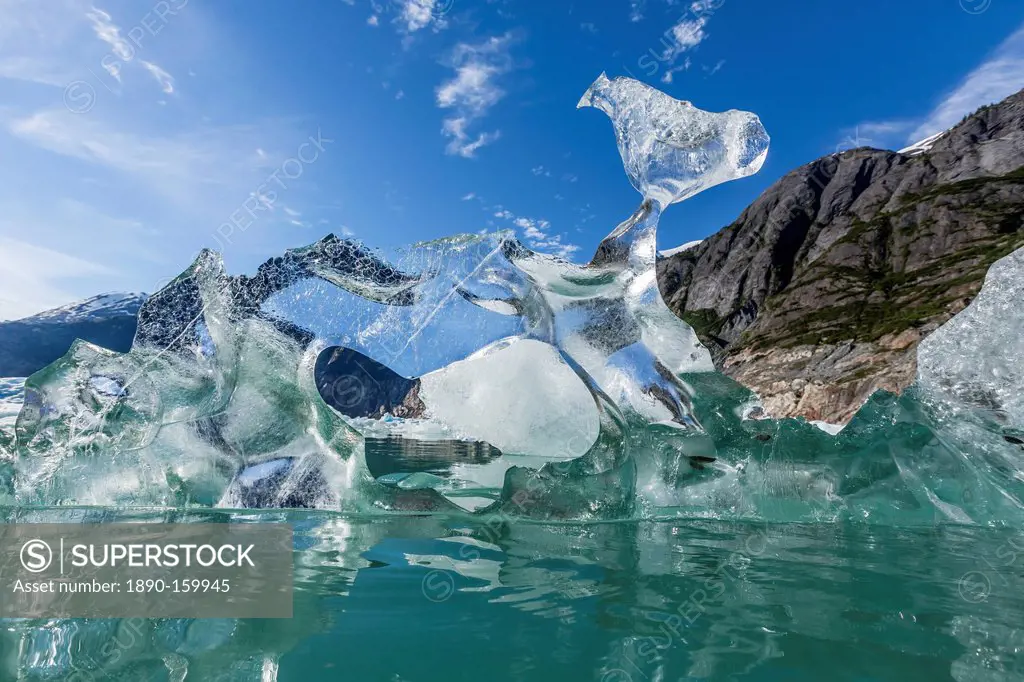 Glacial ice calved from the Sawyer Glacier, Williams Cove, Tracy Arm-Ford's Terror Wilderness Area, Southeast Alaska, United States of America, North ...