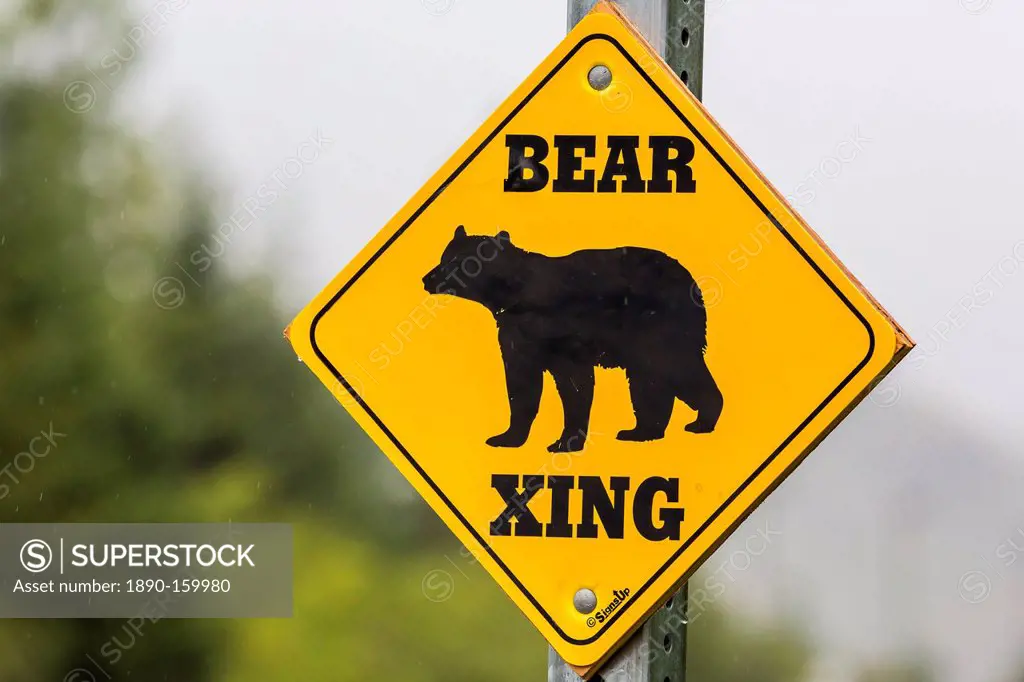 Road sign for bear crossing in Juneau, Southeast Alaska, United States of America, North America