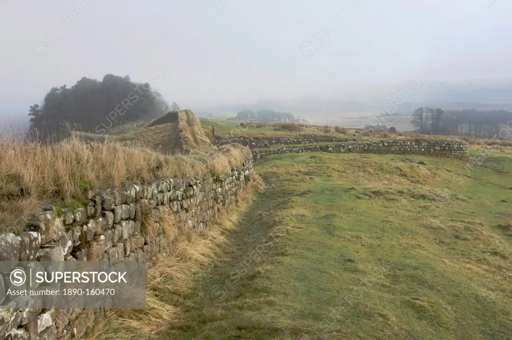 View east from Milecastle 37 approaching Housesteads Wood, Hadrians Wall, UNESCO World Heritage Site. Northumberland National Park, England, United Ki...