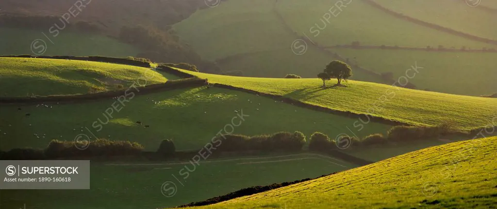 Rolling countryside near Oare, Exmoor National Park, Somerset, England, United Kingdom, Europe