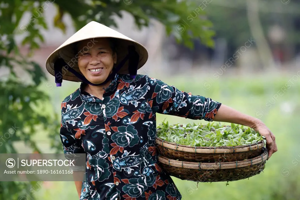 Smiling Vietnamese woman wearing the traditional palm leaf conical hat, Hoi An, Vietnam, Indochina, Southeast Asia, Asia