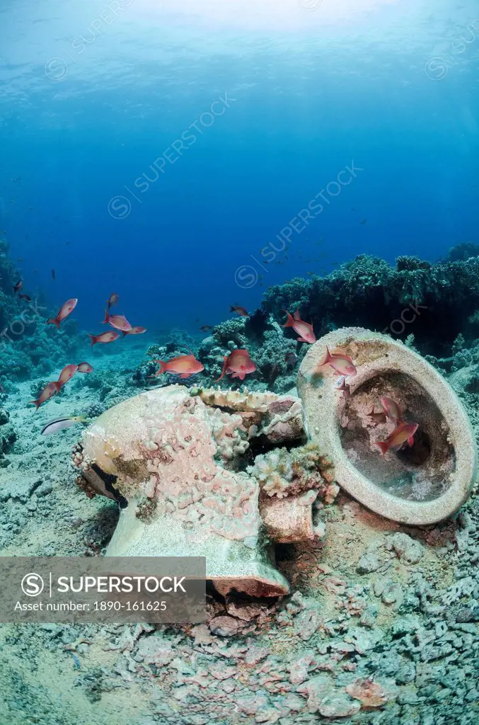 Collection of toilet bowls from shipwreck scattered on seabed, Ras Mohammed National Park, Red Sea, Egypt, North Africa, Africa