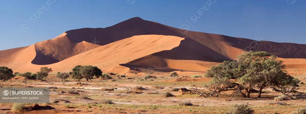 Panoramic view of the Ancient orange sand dunes of the Namib Desert at Sossusvlei, near Sesriem, Namib Naukluft Park, Namibia, Africa