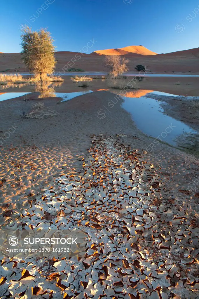 Dunes reflecting in the flooded pan of Sossusvlei caused by rare heavy rainfall, with dried mud in the foreground as the water evaporates, Namib Deser...