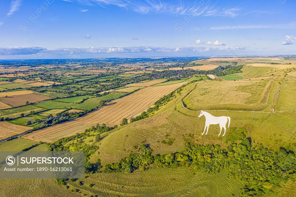 Aerial view of the famous White Horse below Bratton Camp, an Iron Age hillfort near Westbury, Wiltshire, England, United Kingdom, Europe