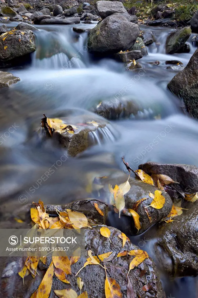 Cascades on the Big Bear Creek in the fall, San Miguel County, Colorado, United States of America, North America