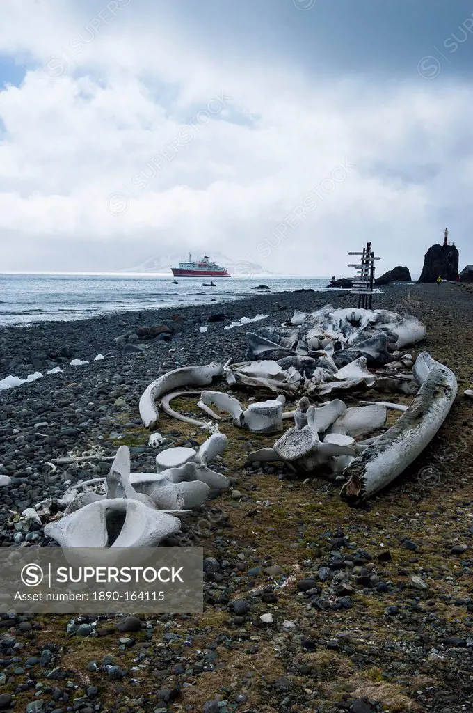Old whale bones in the beach near the Henryk Arctowski Polish Antarctic Station, King George Island, South Shetland Islands, Antarctica, Polar Regions