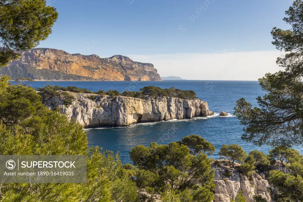 View over the Calanque de Port Pin and Cap Canaille, Calanques National Park, Cassis, Bouches du Rhone, Provence, France, Mediterranean, Europe