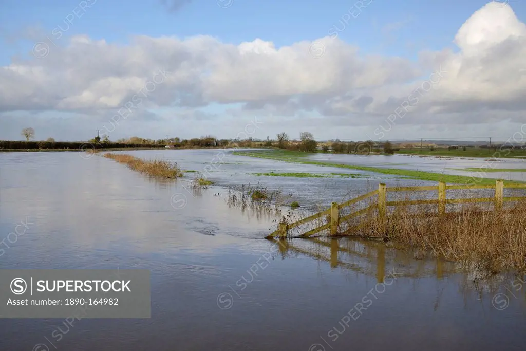 Hugely swollen River Parrett overflowing onto Aller Moor near Staithe after weeks of heavy rain, Somerset Levels, Somerset, England, United Kingdom, E...
