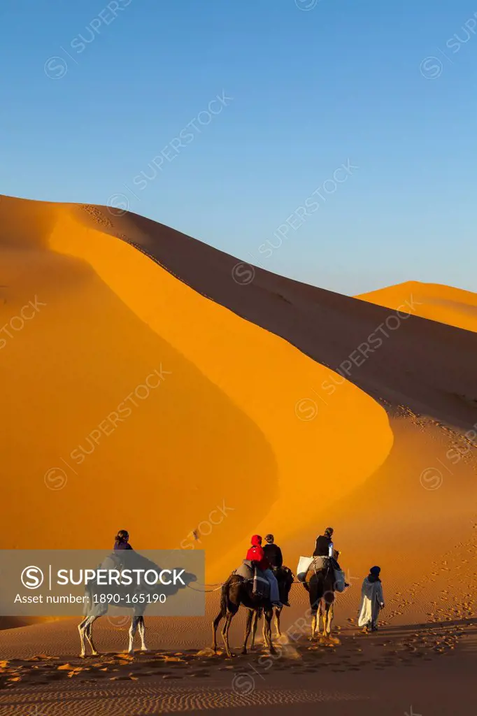 Tourists on camel safari, Sahara Desert, Merzouga, Morocco, North Africa, Africa
