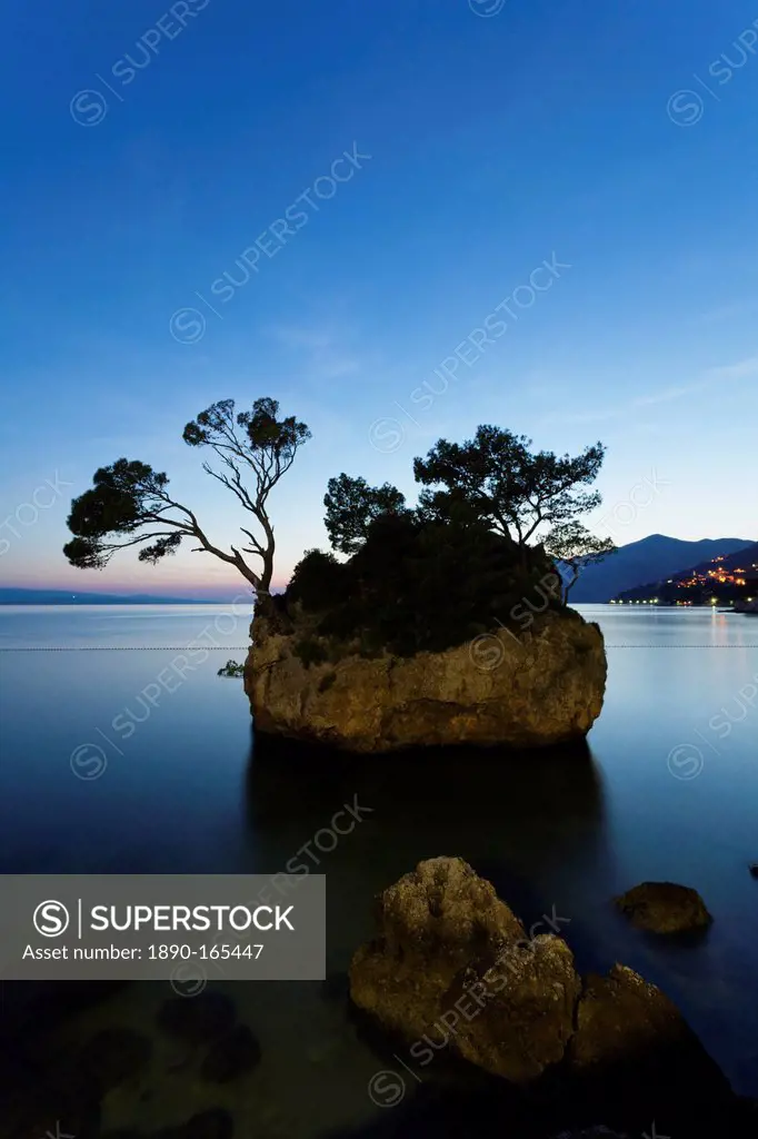 Tree on a rock in the sea, Brela, Makarska Riviera, Dalmatia, Croatia, Europe