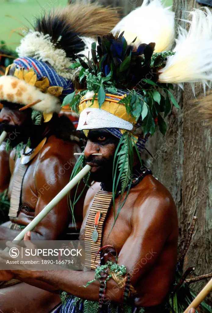 A tribesman wearing a large leaf and feather headdress playing a pipe during a meeting of tribes at Mount Hagen, Papua New Guinea, Australasia.
